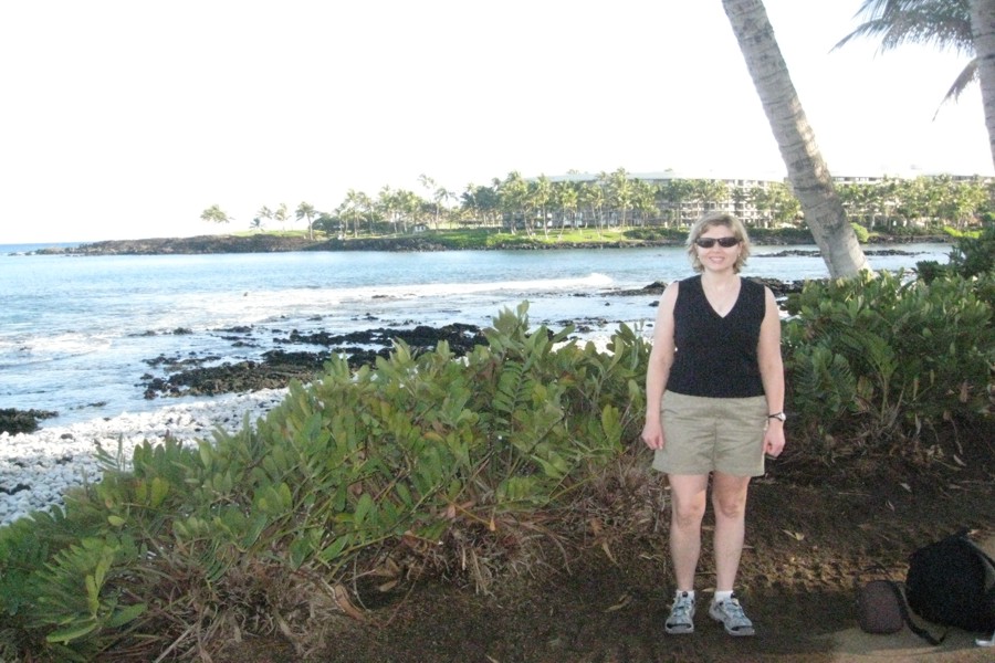 ../image/shoreline near hilton in waikoloa julie 4.jpg